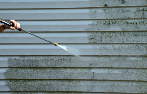 Best Roof Pressure Washing  in Mankato, MN