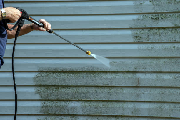 Best Sidewalk Pressure Washing  in Mankato, MN