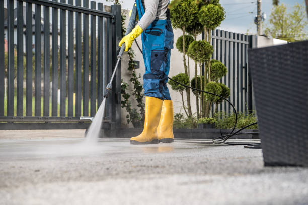 Best Deck Cleaning Services  in Mankato, MN